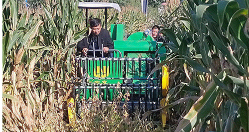 農友機械邵東收水稻效果好